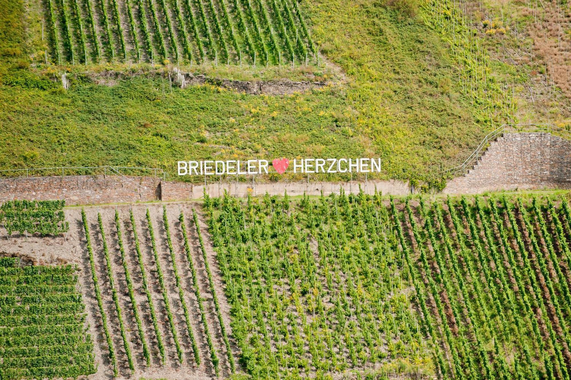Wein- Und Sektgut Markus Hensler Briedel Ngoại thất bức ảnh